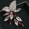 Women's brooch Lynx