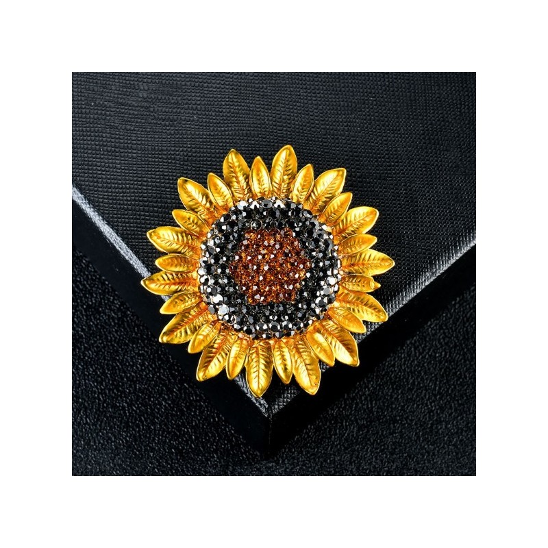 Women's brooch Canes Venatici